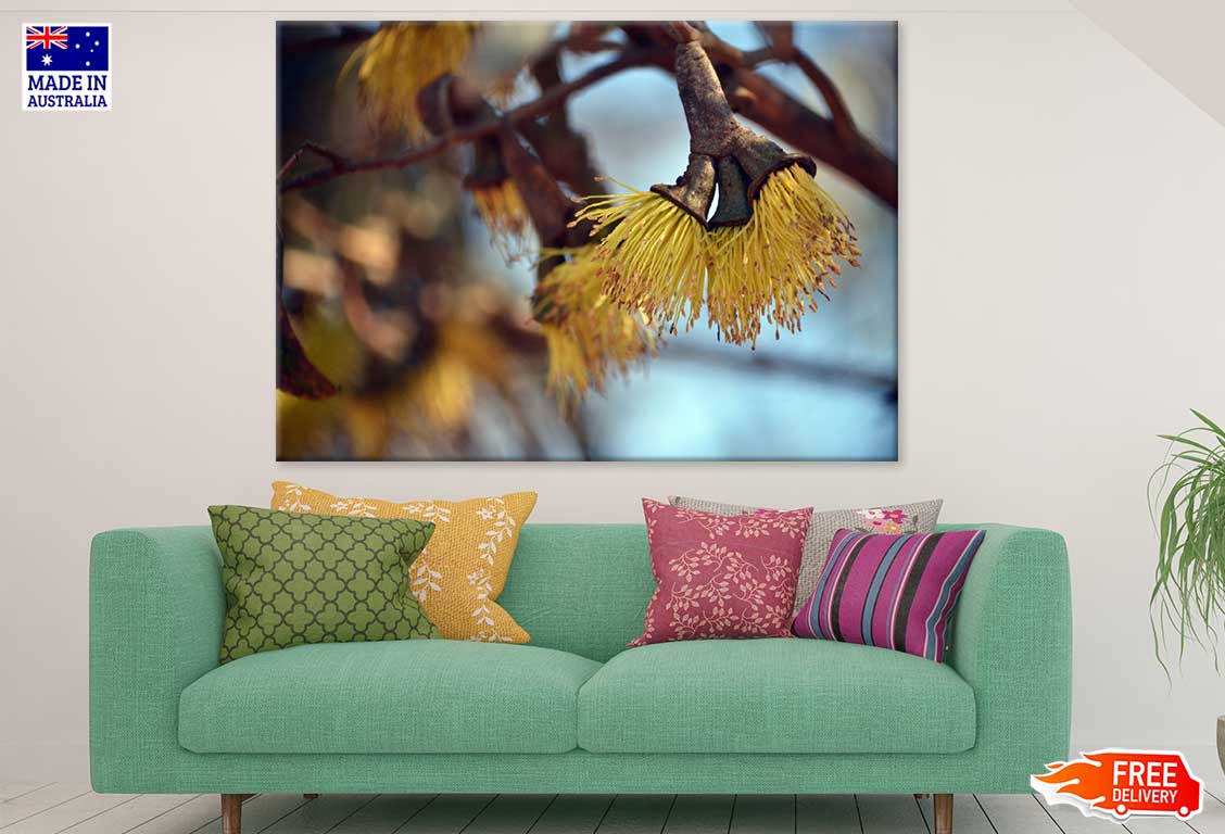 Yellow Blossom Flowers Photograph Print 100% Australian Made