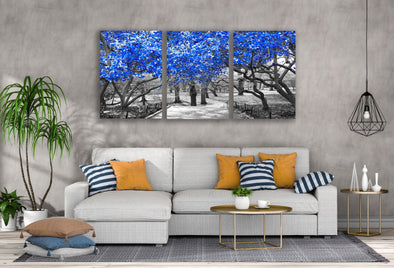 3 Set of Blue Leaves Tree Park B&W Photograph High Quality Print 100% Australian Made Wall Canvas Ready to Hang