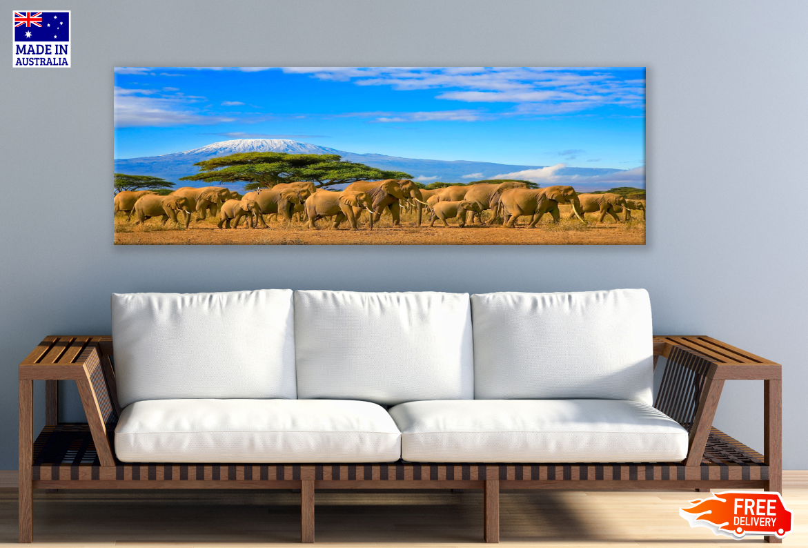 Panoramic Canvas Elephant Walking in Forest High Quality 100% Australian made wall Canvas Print ready to hang