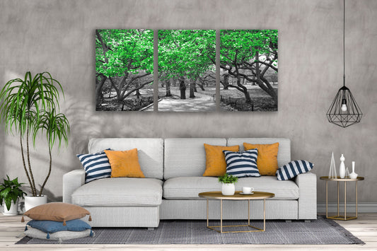 3 Set of Green Leaves Tree Park B&W Photograph High Quality Print 100% Australian Made Wall Canvas Ready to Hang