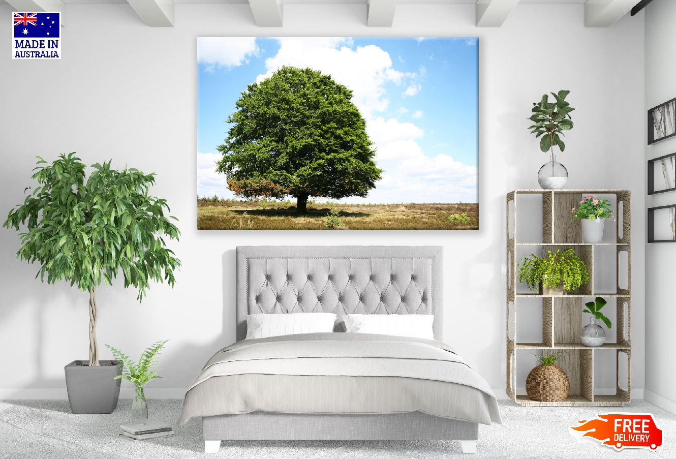 Old Big Tree Autumn Photograph Print 100% Australian Made