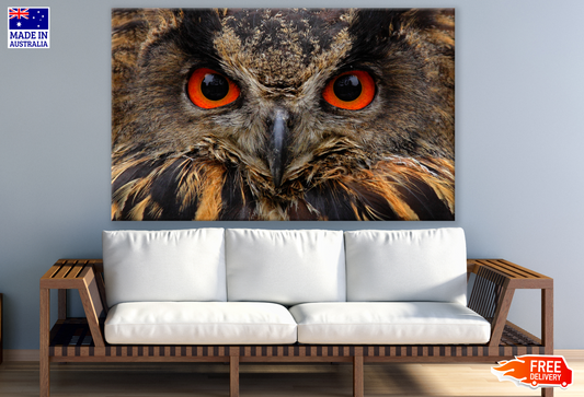 Owl with Red Eyes Portrait Photograph Print 100% Australian Made