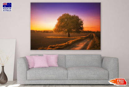 Maple Tree Autumn Sunset Photograph Print 100% Australian Made