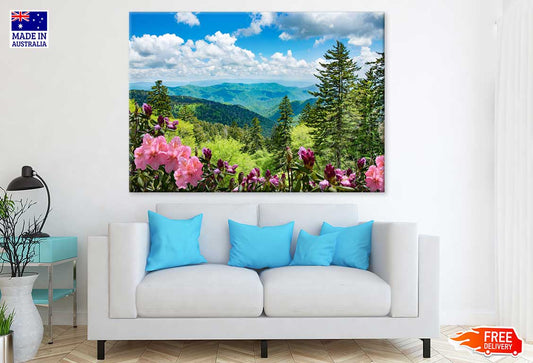 Flowers & Plants near Mountain View Photograph Print 100% Australian Made