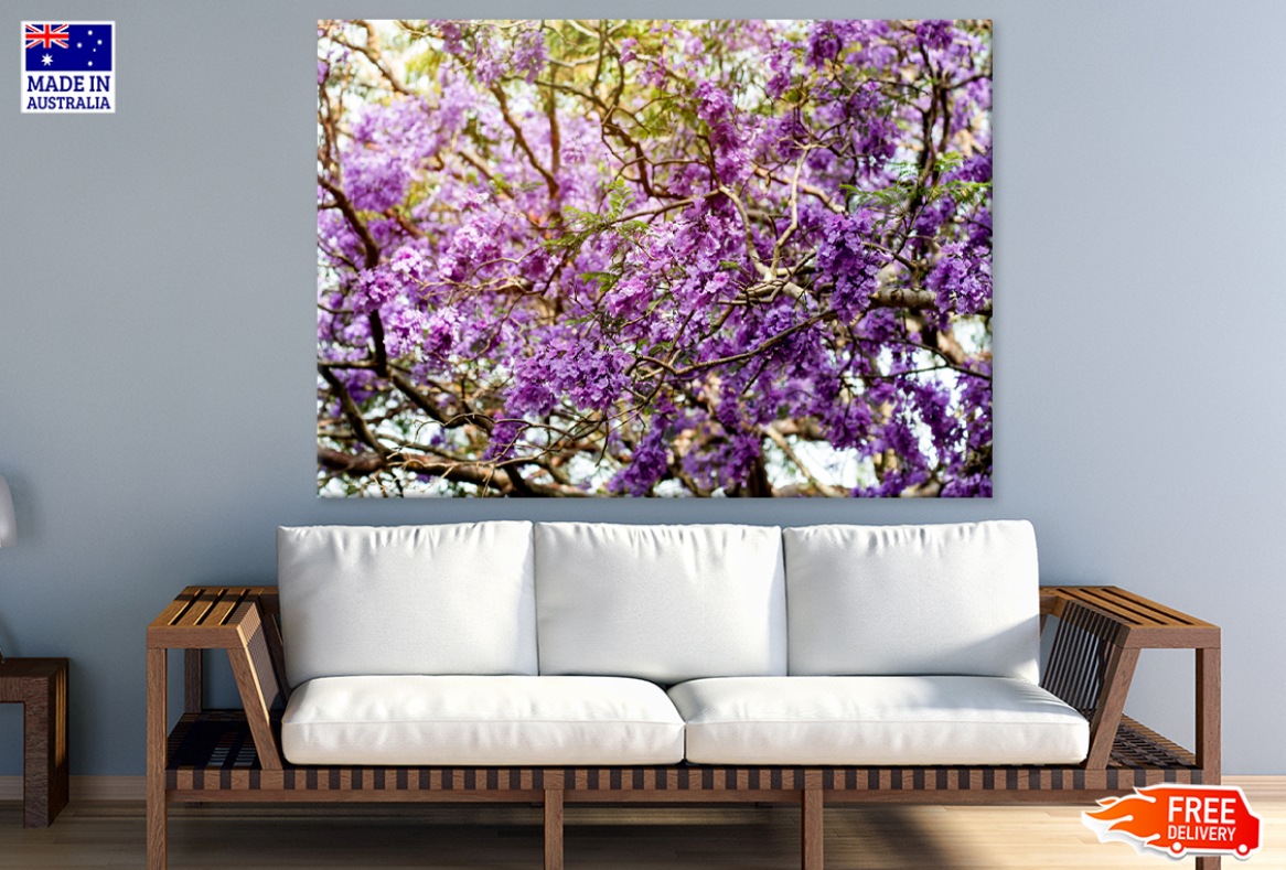 Blossom Flower Trees Photograph Print 100% Australian Made