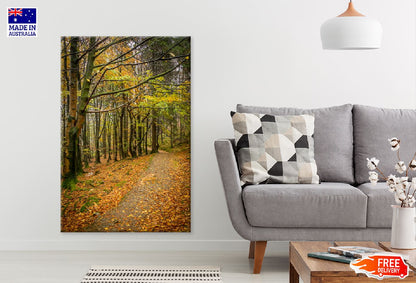 Fall Leaves with Pathway View Photograph Print 100% Australian Made