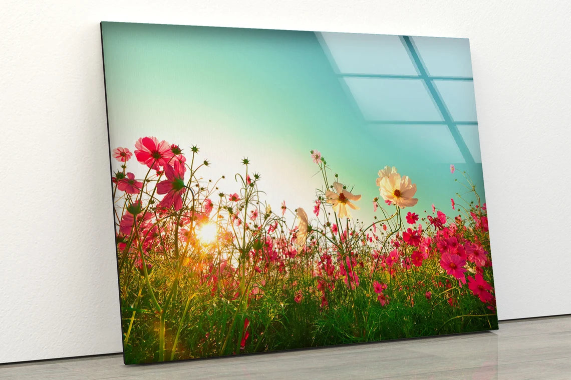 Flower Field Closeup Photograph Acrylic Glass Print Tempered Glass Wall Art 100% Made in Australia Ready to Hang