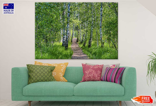 Footpath in Forest Photograph Print 100% Australian Made