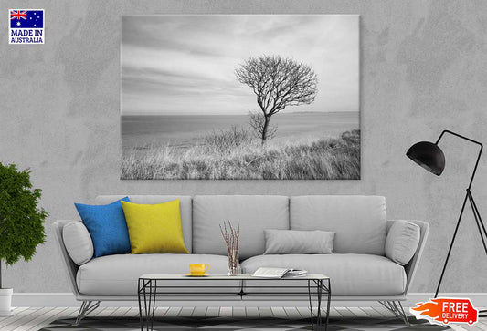 Dead Tree on Grass Field Sea B&W View Photograph Print 100% Australian Made