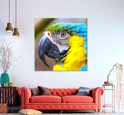 Square Canvas Macaw Bird Closeup Side View Photograph High Quality Print 100% Australian Made