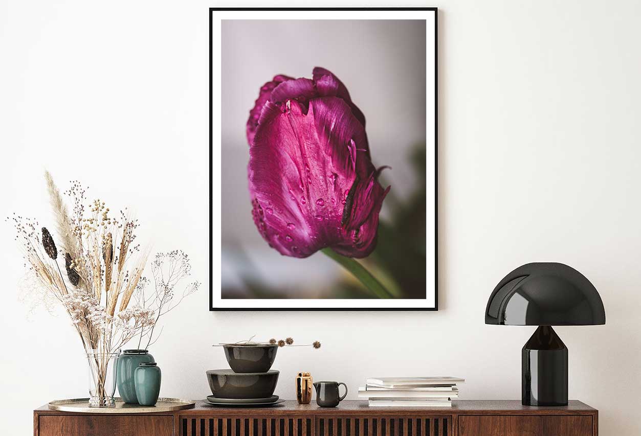 Purple Pink Tulip Closeup View Photograph Home Decor Premium Quality Poster Print Choose Your Sizes