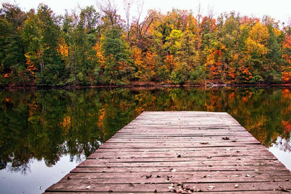 Wooden Pier Over Lake Near Forest Photograph Print 100% Australian Made