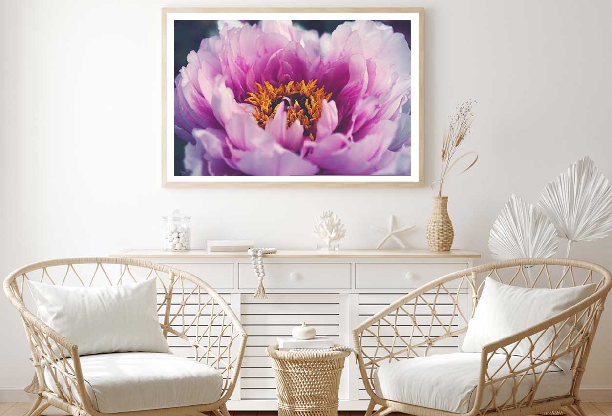 Pink Peony Flower Closeup View Photograph Home Decor Premium Quality Poster Print Choose Your Sizes