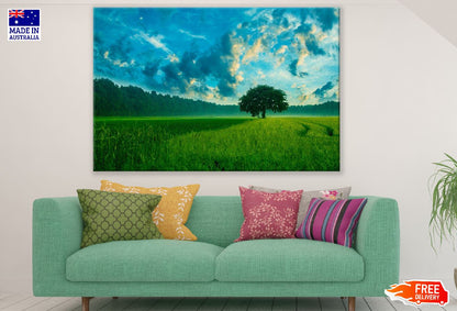 Tree on Rice Field Under Blue Sky Photograph Print 100% Australian Made