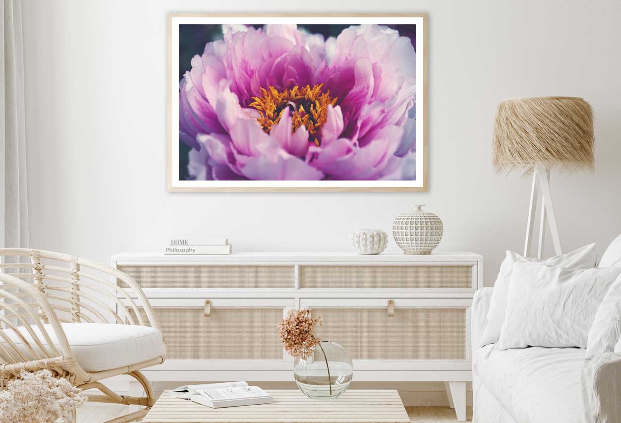 Pink Peony Flower Closeup View Photograph Home Decor Premium Quality Poster Print Choose Your Sizes