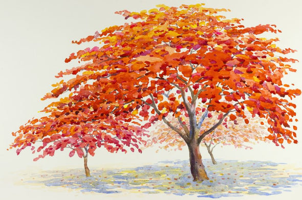 Red Trees Watercolour Art Nature Print 100% Australian Made