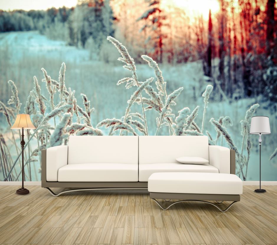 Wallpaper Murals Peel and Stick Removable Frozen Flowers in Sunset High Quality