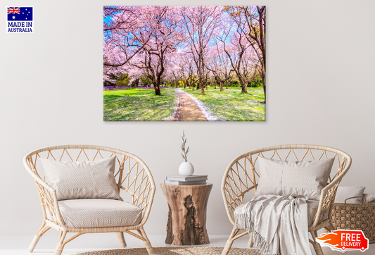 Blossom Flower Trees View Photograph Print 100% Australian Made