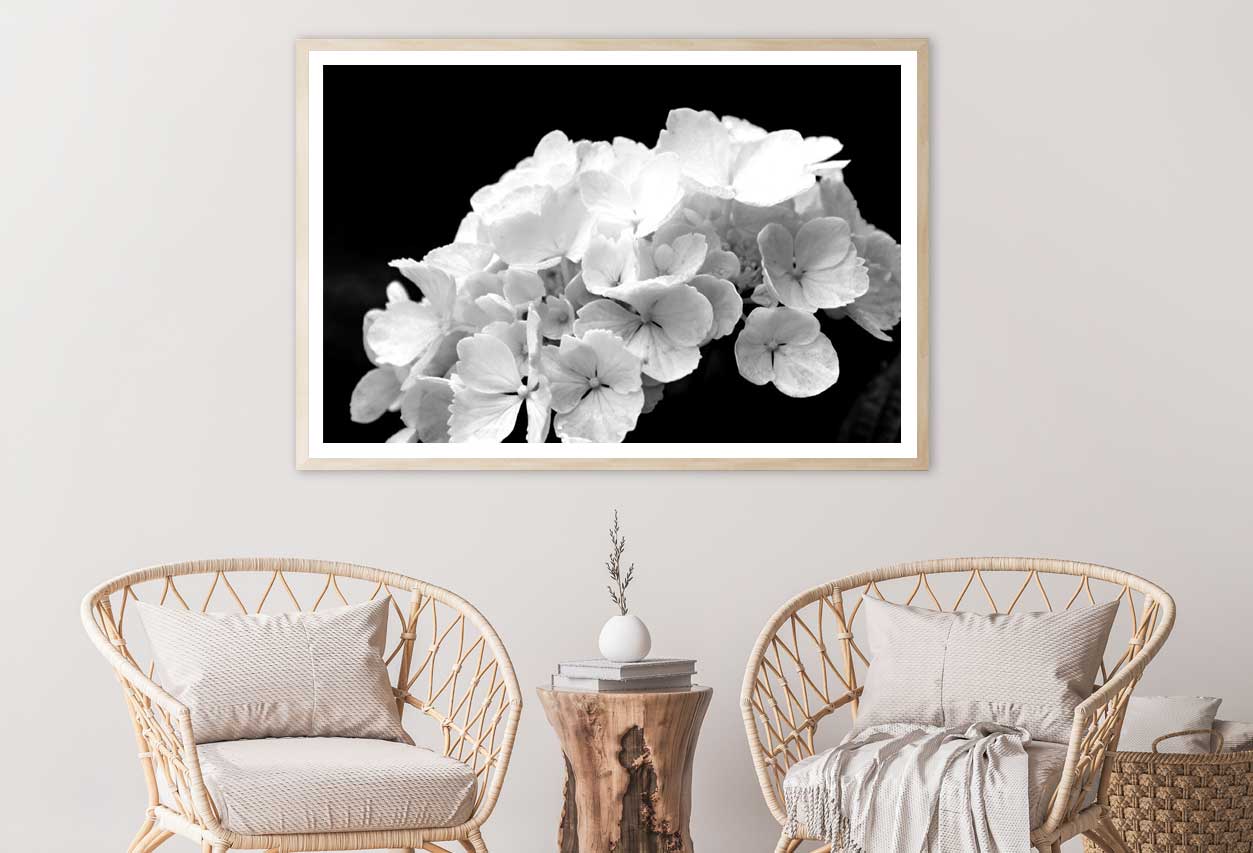 Hydrangea Flowers B&W View Photograph Home Decor Premium Quality Poster Print Choose Your Sizes