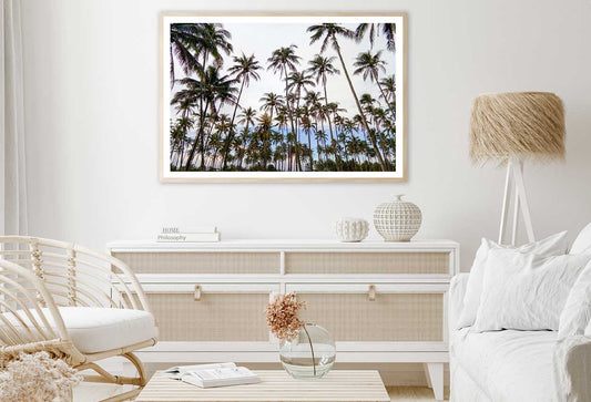 Palm Trees View Photograph in Sariaya Philippines Home Decor Premium Quality Poster Print Choose Your Sizes