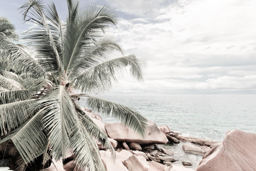 Palm Trees & Rocks near Sea View Photograph Print 100% Australian Made