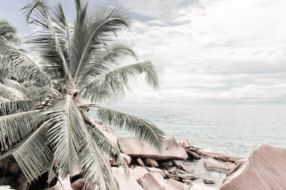 Palm Trees & Rocks near Sea View Photograph Print 100% Australian Made
