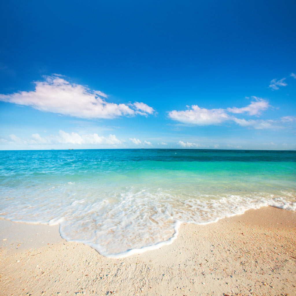 Square Canvas Tropical Sandy Sea Blue Sky Photograph High Quality Print 100% Australian Made