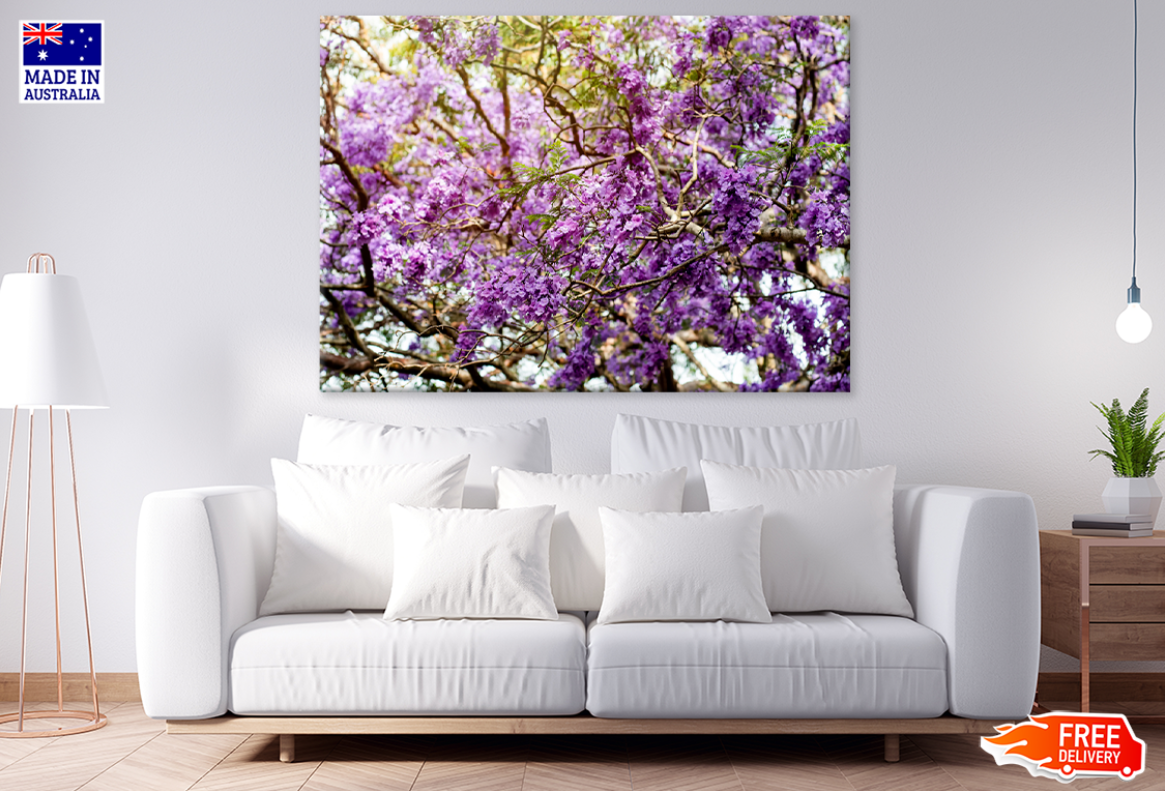 Blossom Flower Trees Photograph Print 100% Australian Made