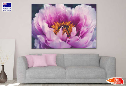 Pink Peony Flower Closeup View Photograph Print 100% Australian Made