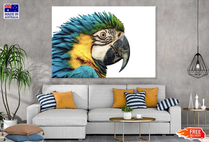 Par Parrot Closeup Side View Photograph Print 100% Australian Made