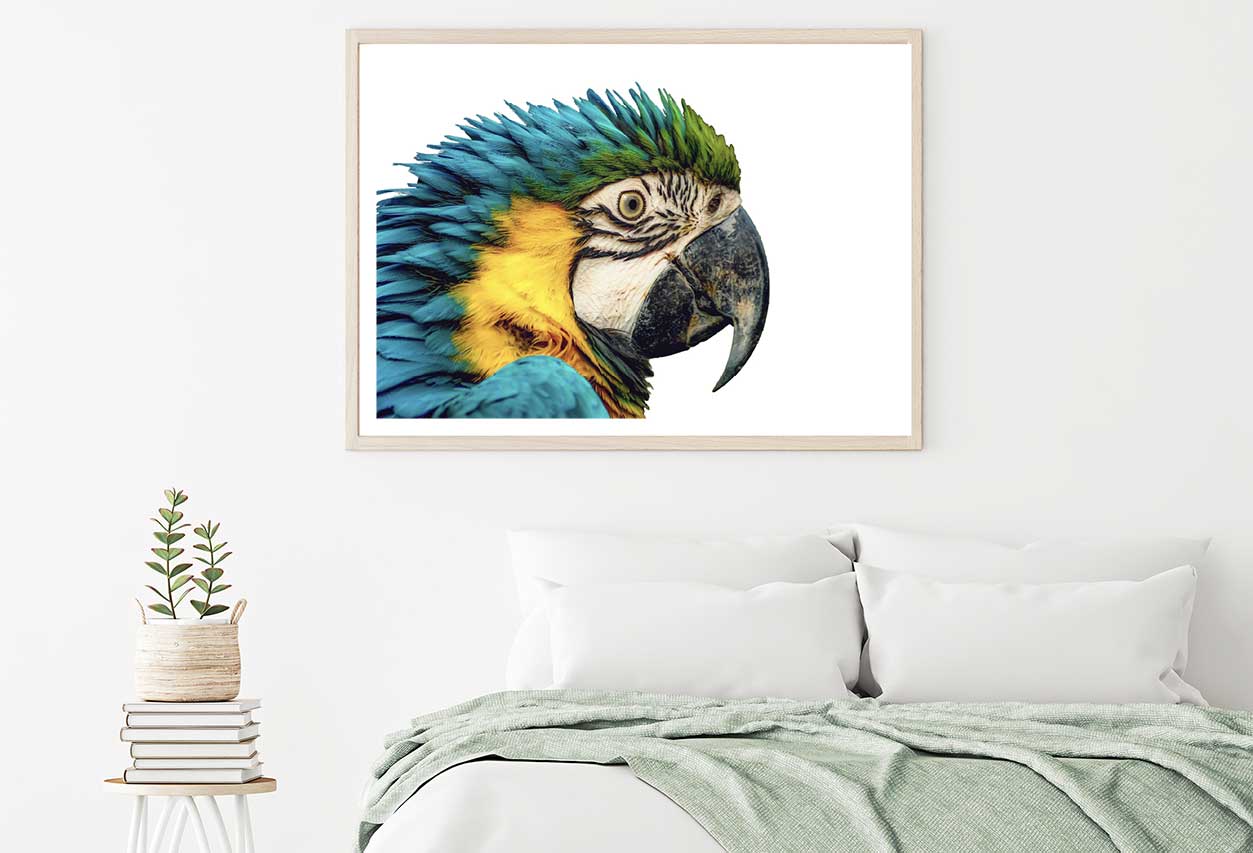 Parrot Closeup Side View Photograph Home Decor Premium Quality Poster Print Choose Your Sizes