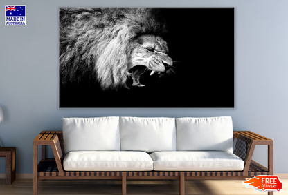 Lion Face B&W Photograph Print 100% Australian Made