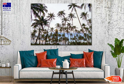 Palm Trees View Photograph in Sariaya Philippines Print 100% Australian Made