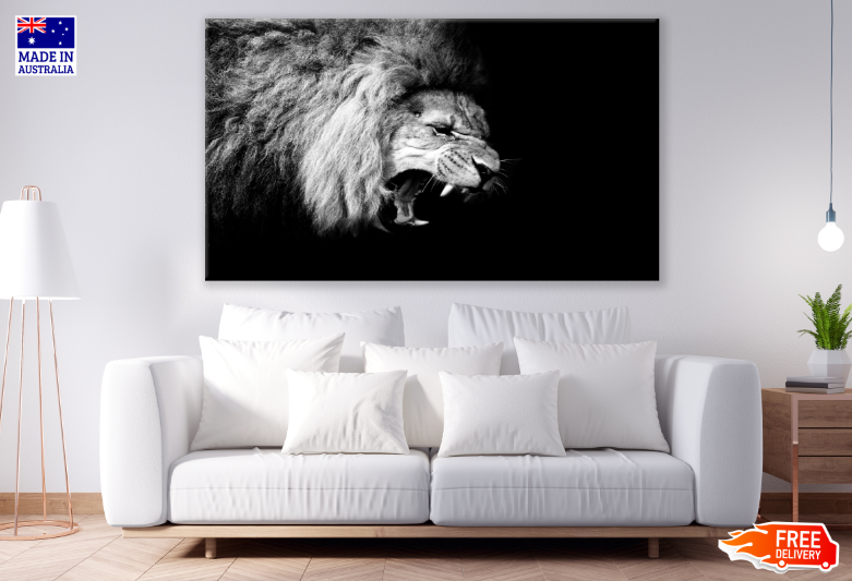 Lion Face B&W Photograph Print 100% Australian Made