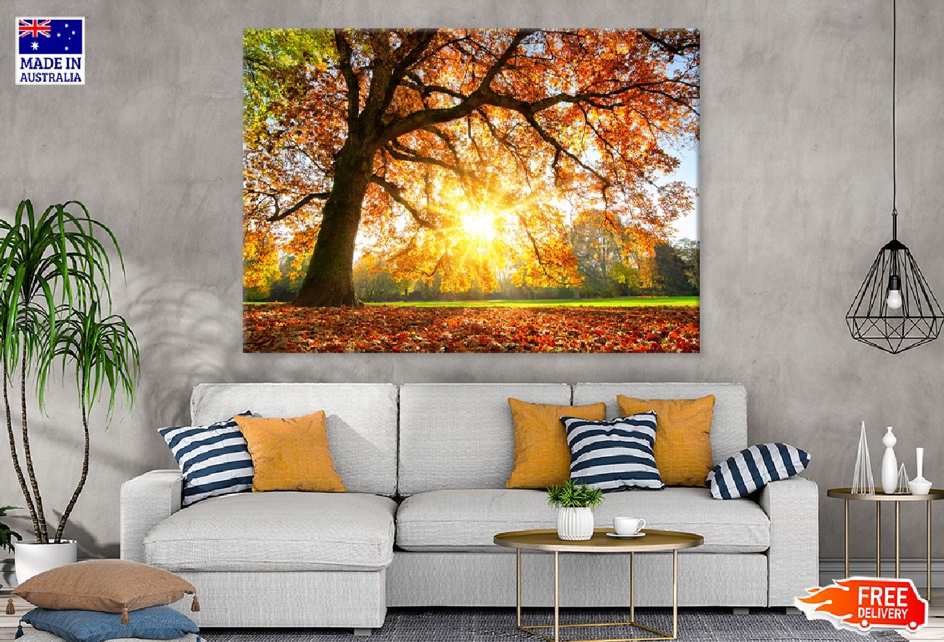 Autumn Tree with Sunshine Photograph Print 100% Australian Made