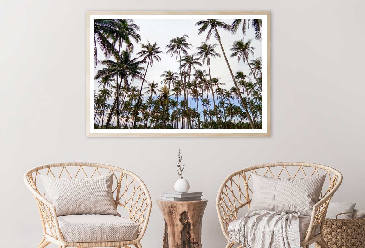 Palm Trees View Photograph in Sariaya Philippines Home Decor Premium Quality Poster Print Choose Your Sizes