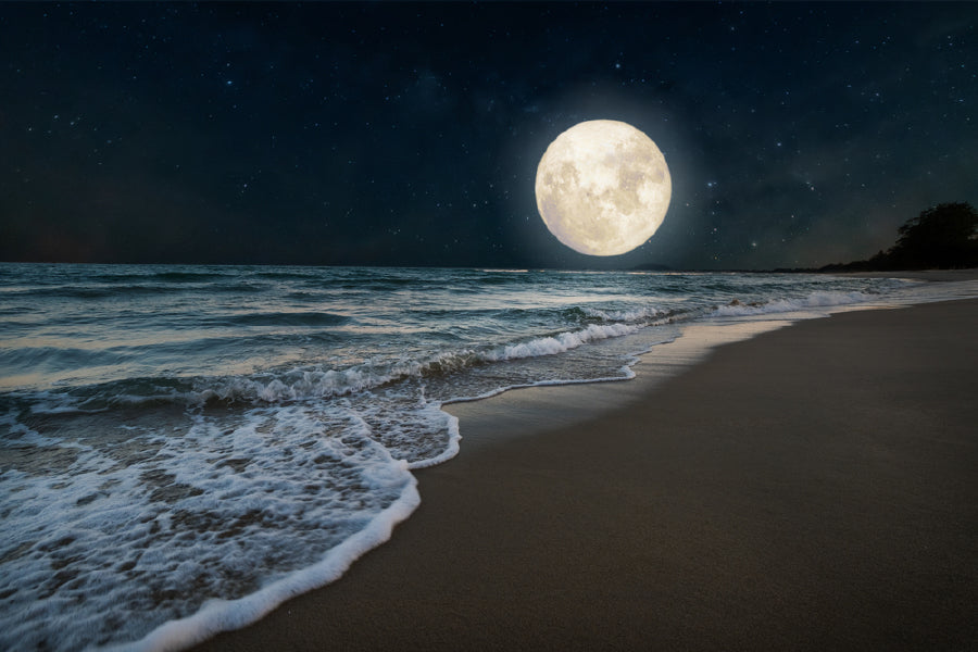 Beach & Full Moon with Star View Home Decor Premium Quality Poster Print Choose Your Sizes