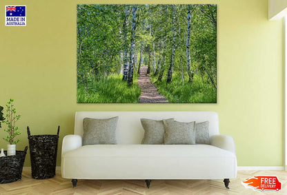 Footpath in Forest Photograph Print 100% Australian Made