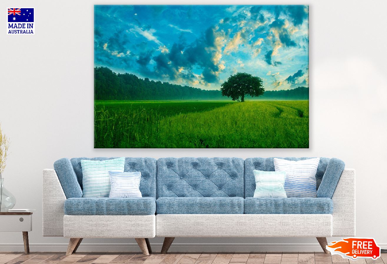 Tree on Rice Field Under Blue Sky Photograph Print 100% Australian Made