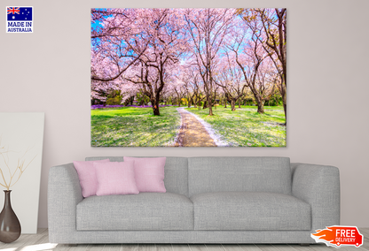 Blossom Flower Trees View Photograph Print 100% Australian Made