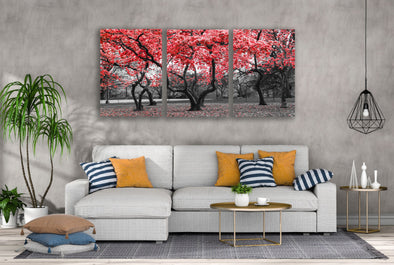 3 Set of Red Leaves Tree Park B&W Photograph High Quality Print 100% Australian Made Wall Canvas Ready to Hang