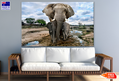 Elephants Walking Photograph Print 100% Australian Made