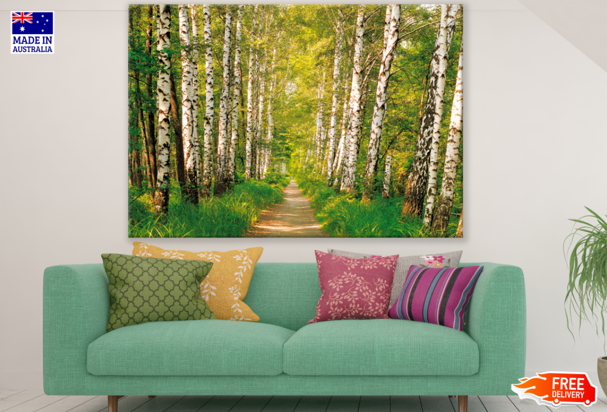 Tree Forest Scenery Photograph Print 100% Australian Made