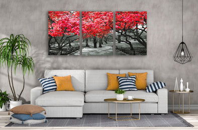 3 Set of Red Leaves Forest B&W Photograph High Quality Print 100% Australian Made Wall Canvas Ready to Hang