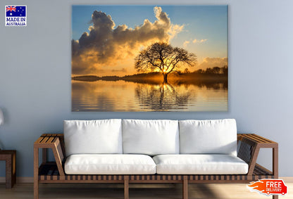 Lone Tree In Lake Sunset Photograph Print 100% Australian Made