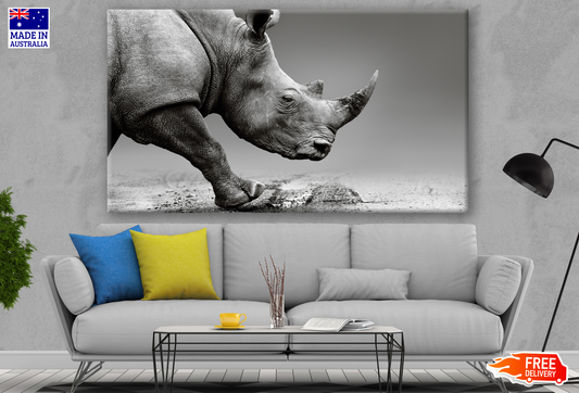Rhinoceros B&W Photograph Print 100% Australian Made
