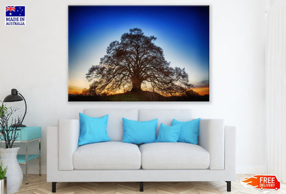 Sunrise Behind a Oak Tree Photograph Print 100% Australian Made