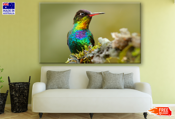 Humming Bird Closeup Photograph Print 100% Australian Made