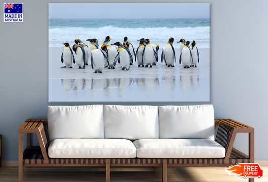 Penguins Coming out from the Sea Photograph Print 100% Australian Made