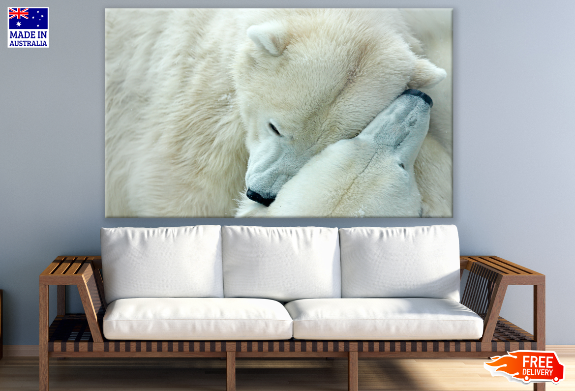 Polar Bear Love Close up Photograph Print 100% Australian Made